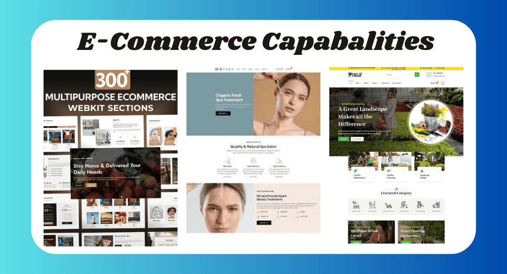 E-Commerce Capabalities