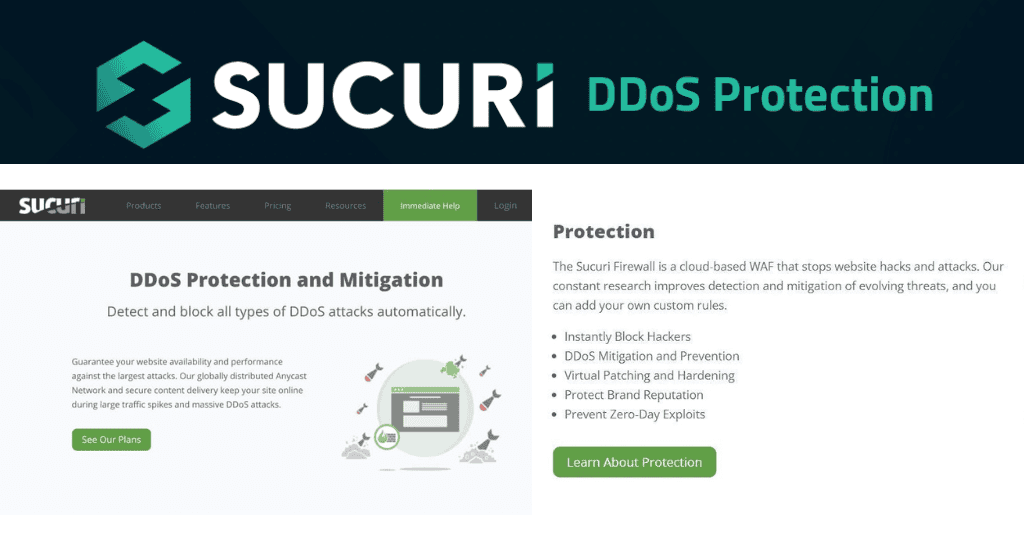 DDoS Protection